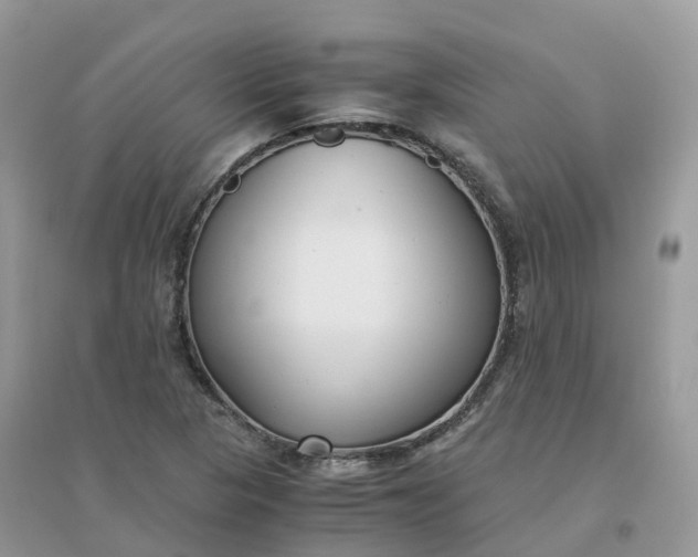 X0000096161313200802011246