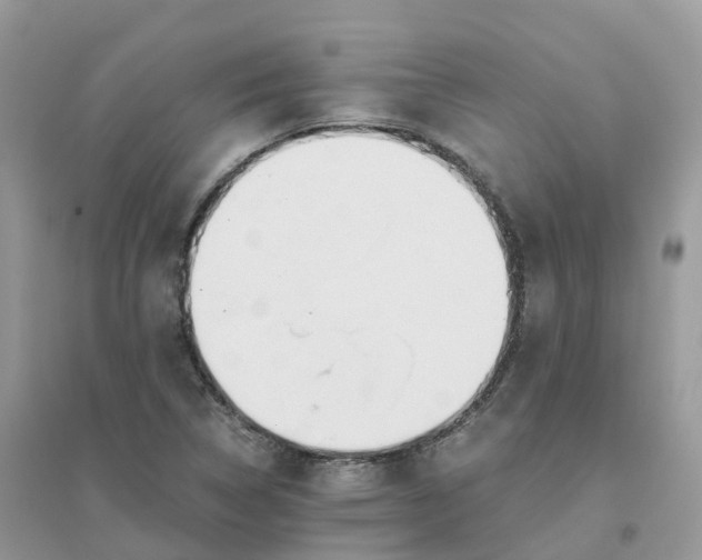 X0000096161314200802011246