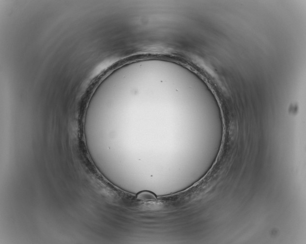 X0000096161315200802011246