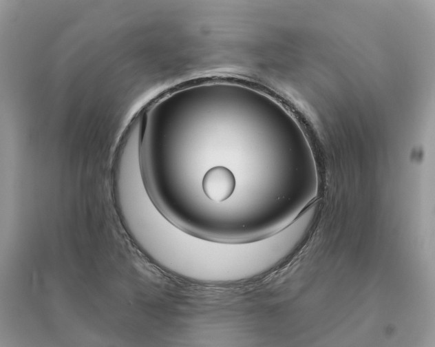 X0000096161316200802011246