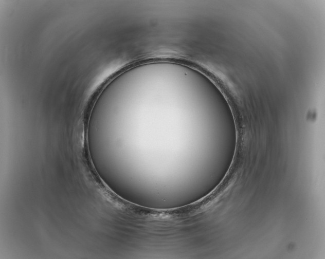 X0000096161317200802011246