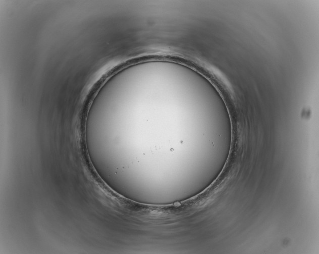 X0000096161318200802011246