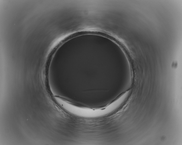 X0000096161319200802011246