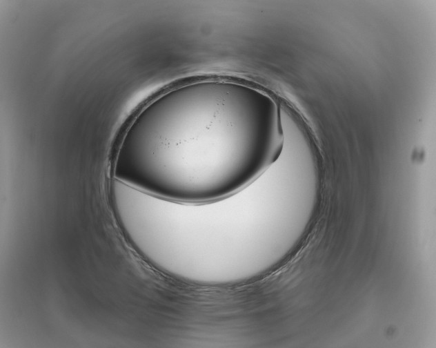 X0000096161320200802011246