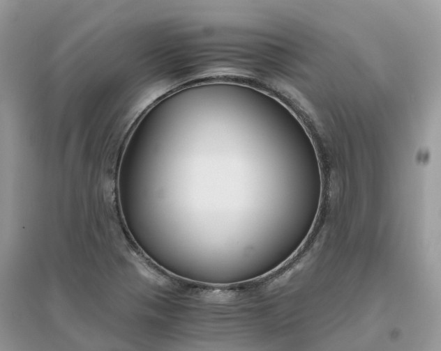 X0000096161321200802011246