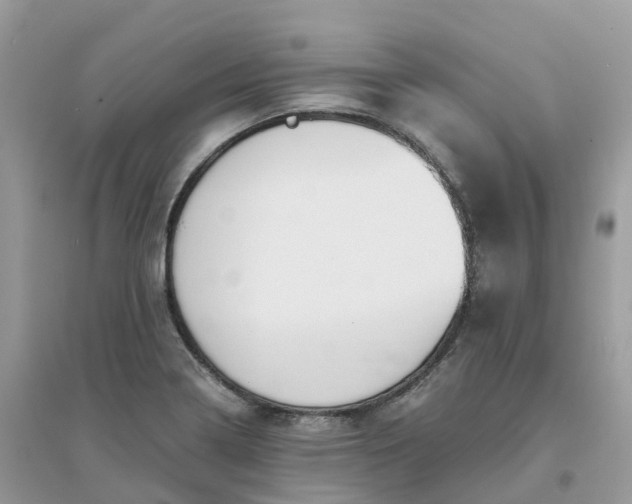 X0000096161322200802011246