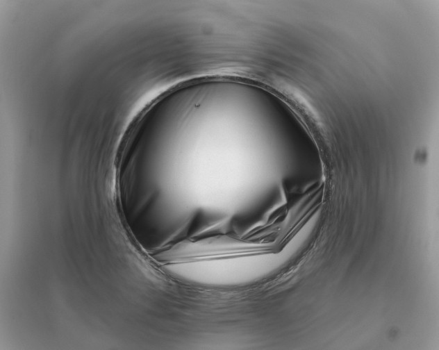 X0000096161324200802011246