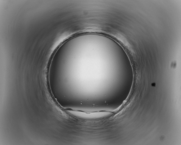 X0000096161325200802011247