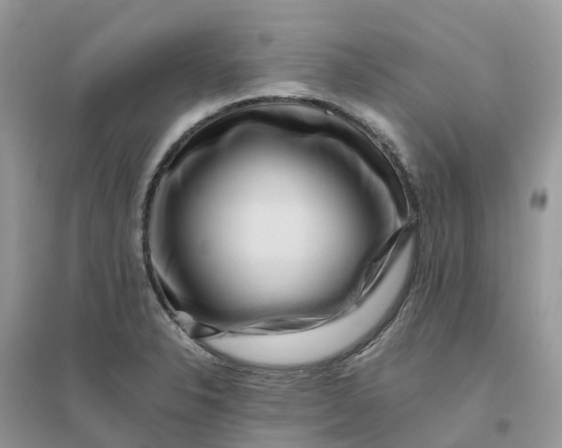 X0000096161326200802011247