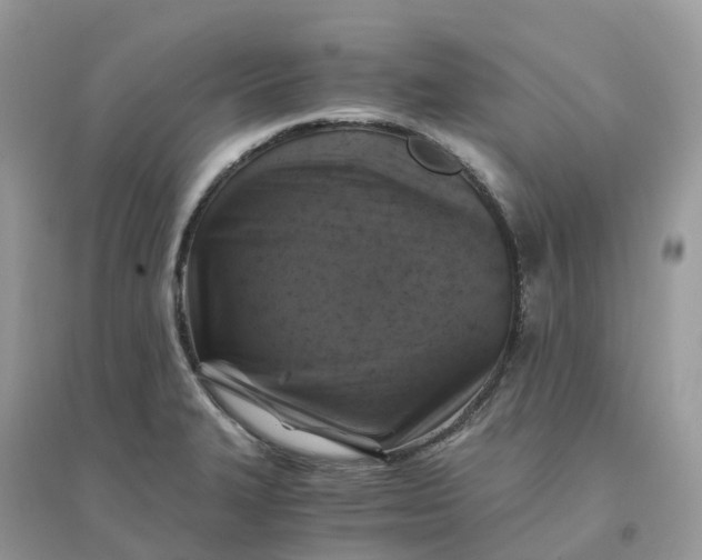 X0000096161327200802011247