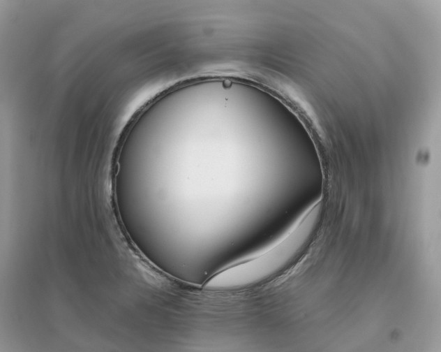 X0000096161328200802011247