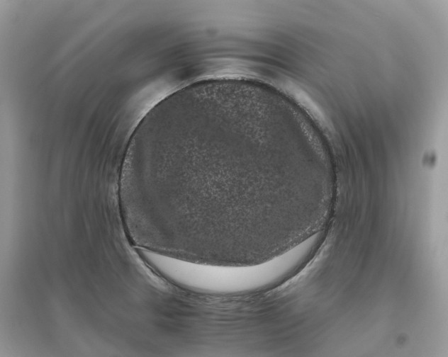 X0000096161329200802011247