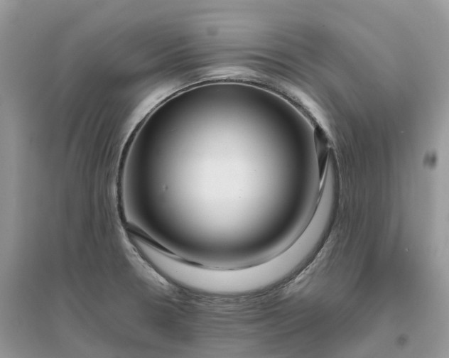 X0000096161330200802011247