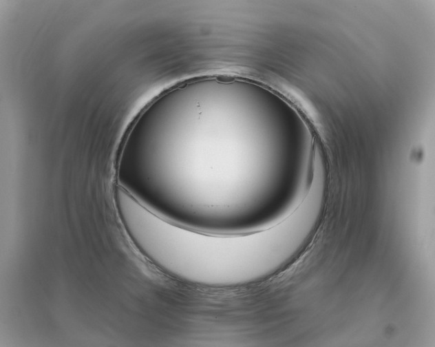 X0000096161332200802011247