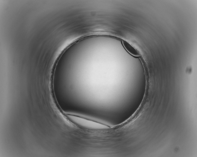 X0000096161333200802011247