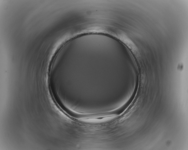 X0000096161334200802011247