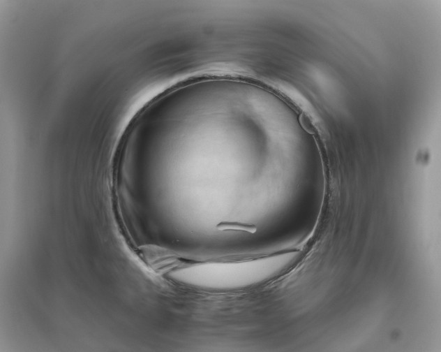 X0000096161335200802011247