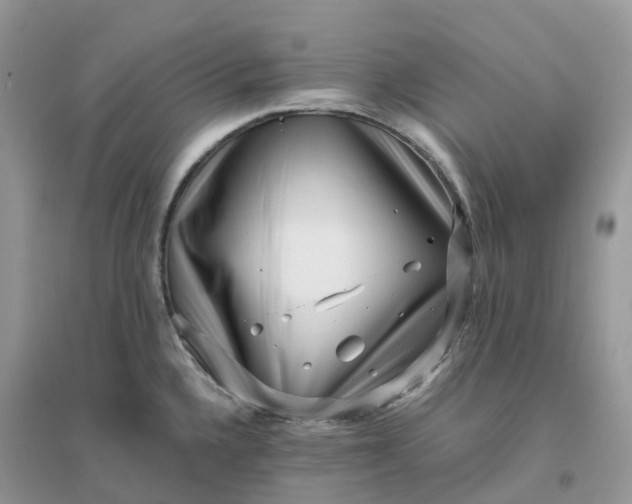 X0000096161336200802011247