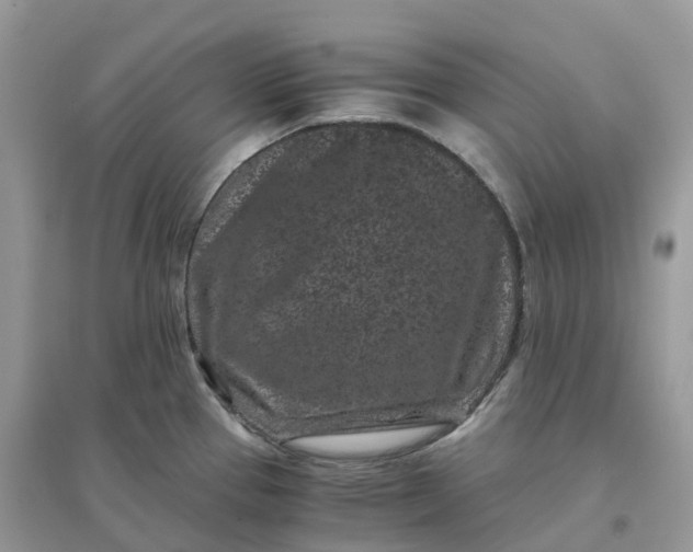 X0000096161337200802011247