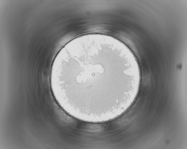 X0000096161338200802011247