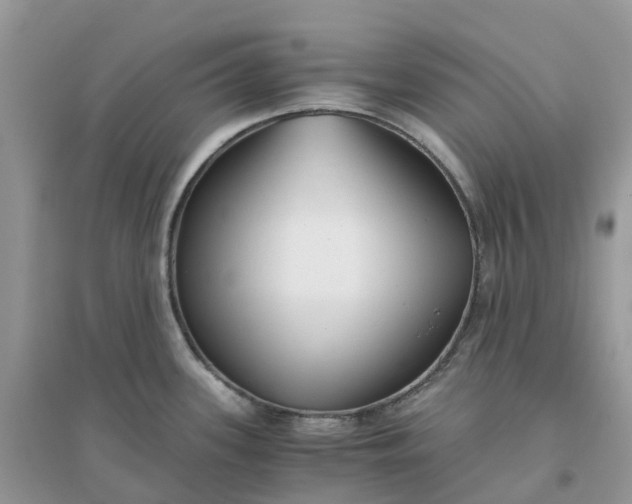 X0000096161339200802011247