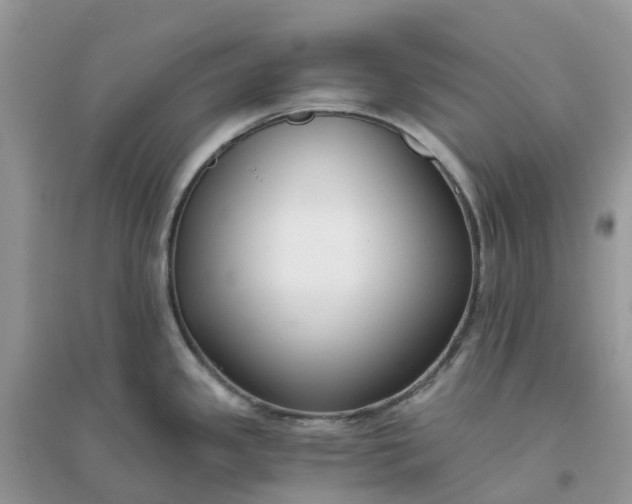 X0000096161341200802011247