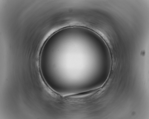 X0000096161342200802011247