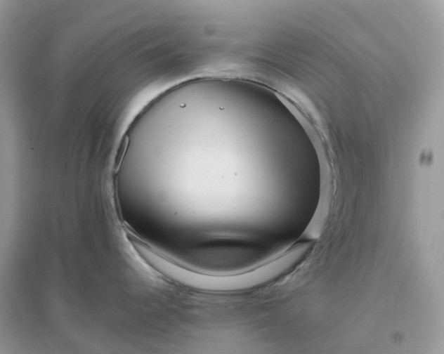 X0000096161344200802011247