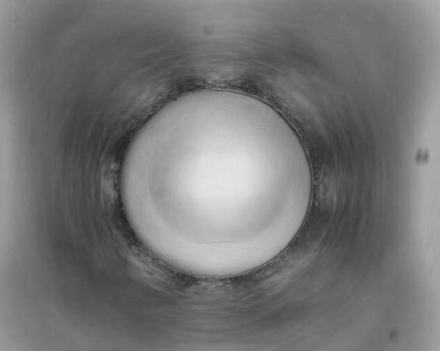 X0000096161346200802011246