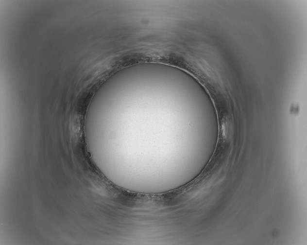 X0000096161347200802011246