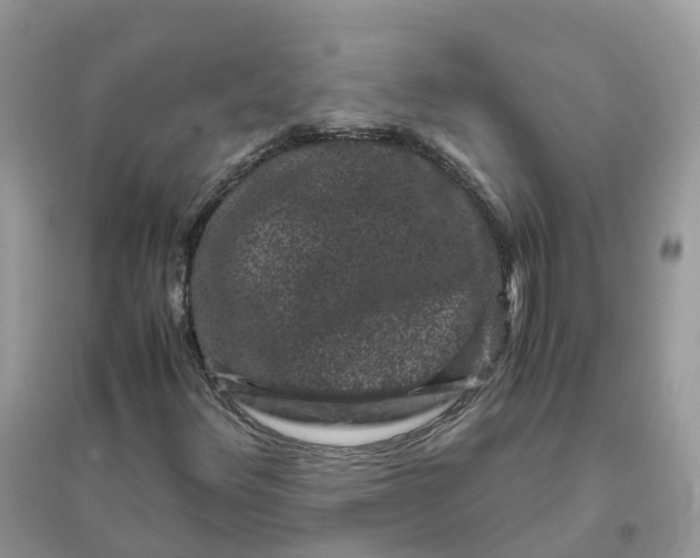 X0000096161348200802011246