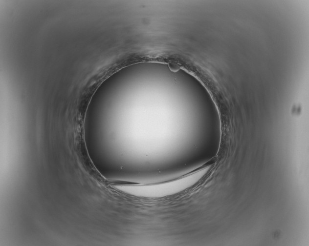 X0000096161349200802011246