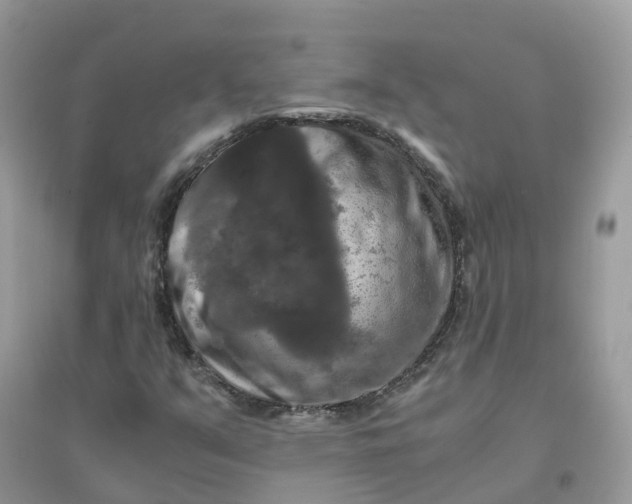 X0000096161351200802011246