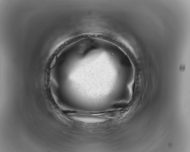 X0000096161352200802011246