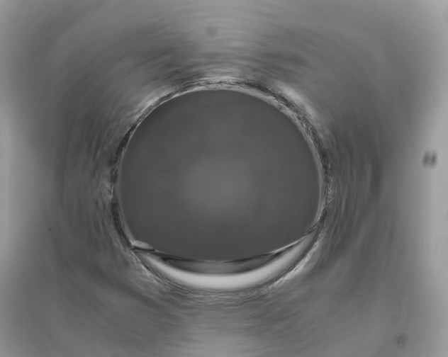 X0000096161353200802011246