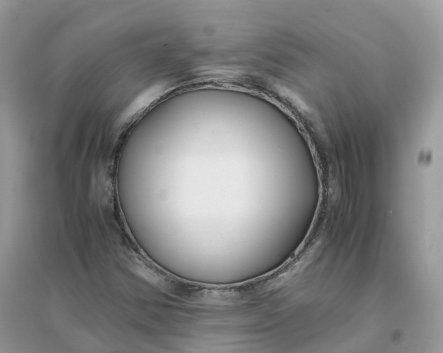 X0000096161354200802011246