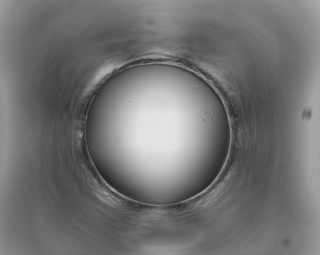 X0000096161355200802011246