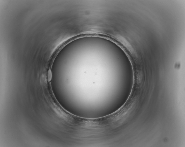 X0000096161356200802011246