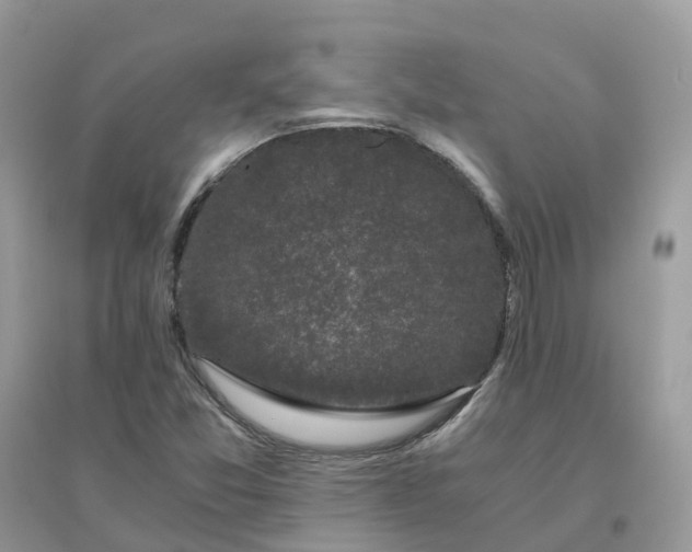 X0000096161357200802011246