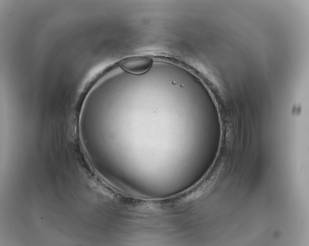 X0000096161358200802011246