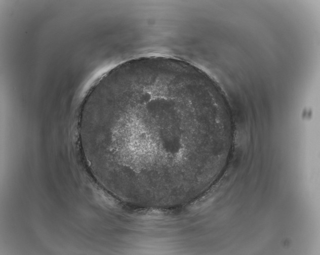 X0000096161359200802011246