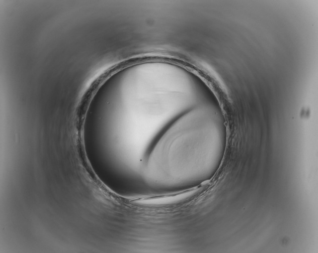 X0000096161360200802011246