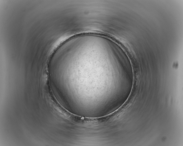 X0000096161363200802011246