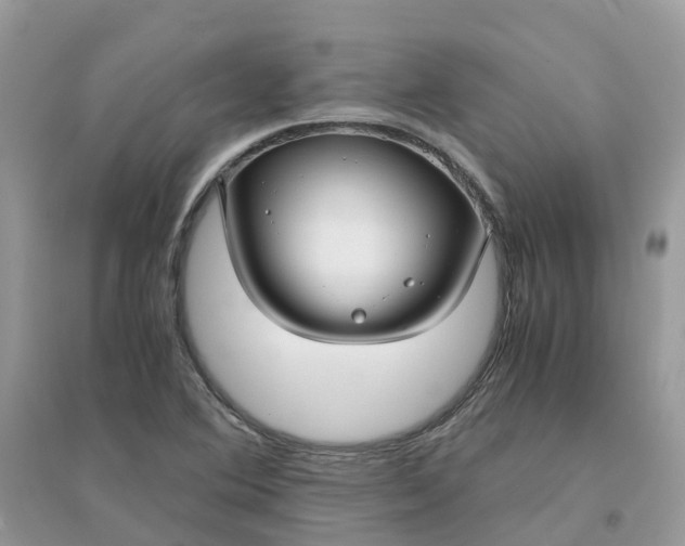 X0000096161364200802011246