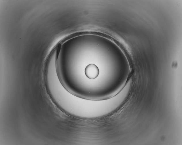 X0000096161368200802011246