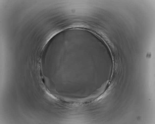 X0000096161369200802011246