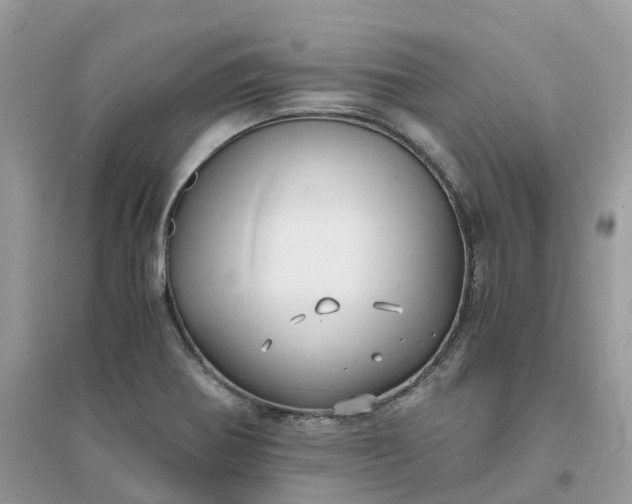 X0000096161370200802011246