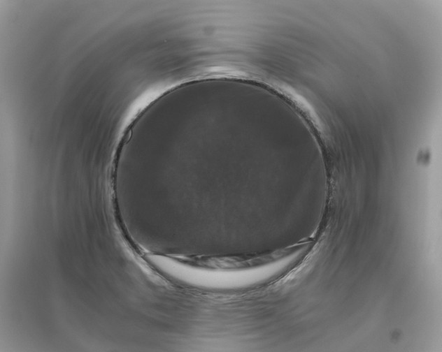 X0000096161373200802011246