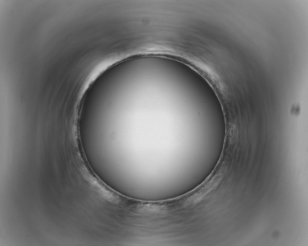 X0000096161374200802011246