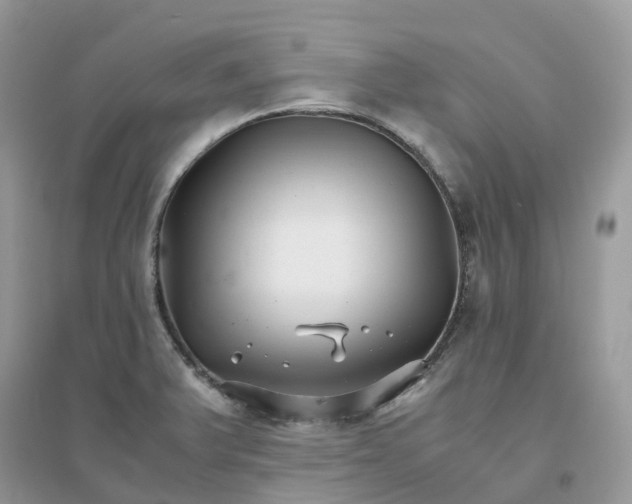 X0000096161375200802011246